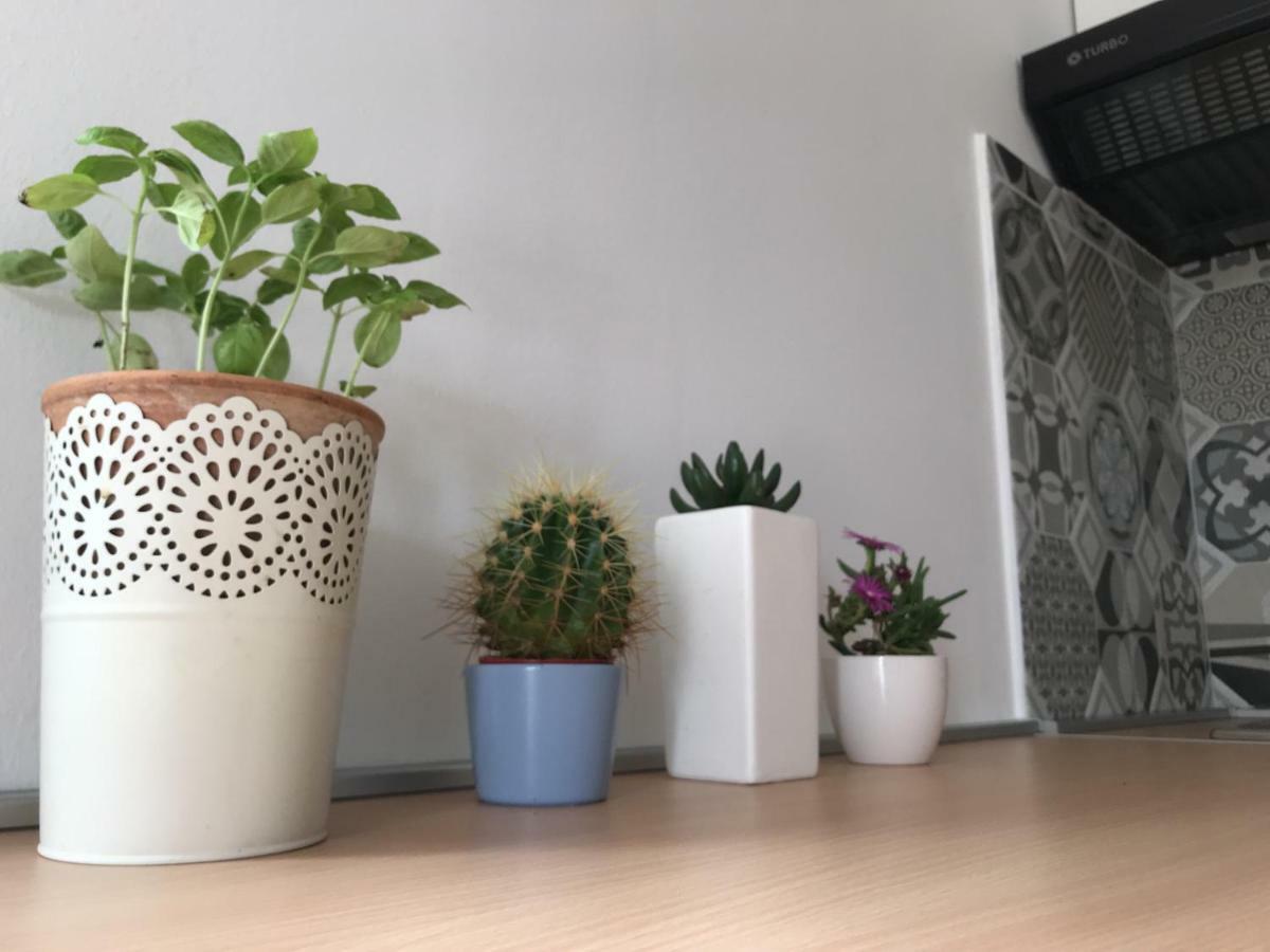 Lea&Tea'S Apartment Plano エクステリア 写真